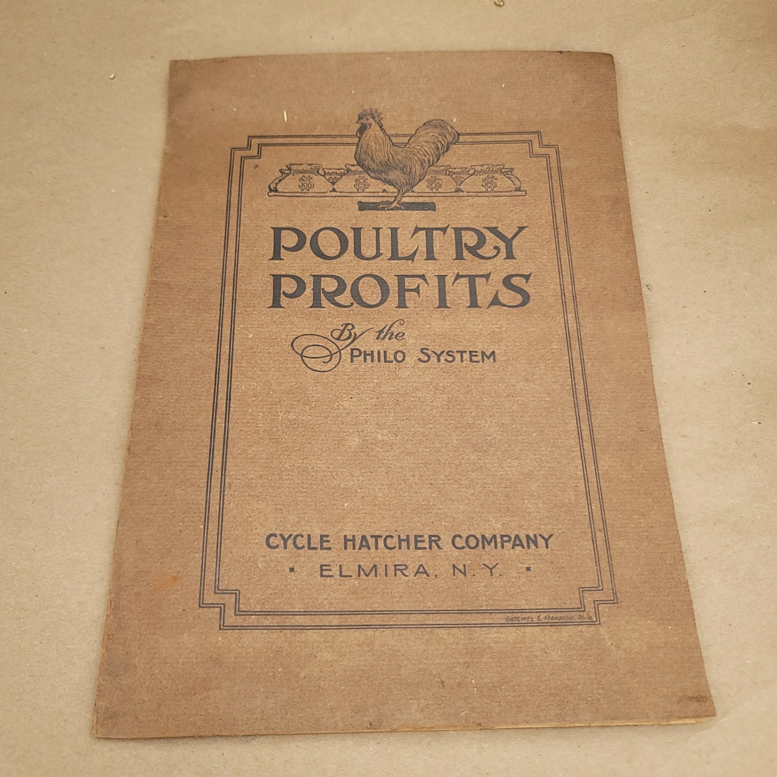 1912 Poultry Profits Philo System Cycle Hatcher Company Chicken