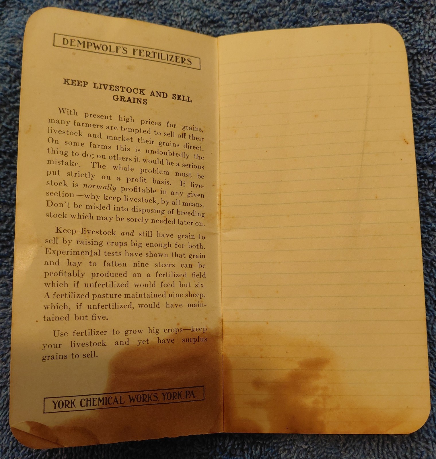 PA Fertilizer Memo Book Lot • Farmers’ Fertilizer Works & Dempwolf’s 1921