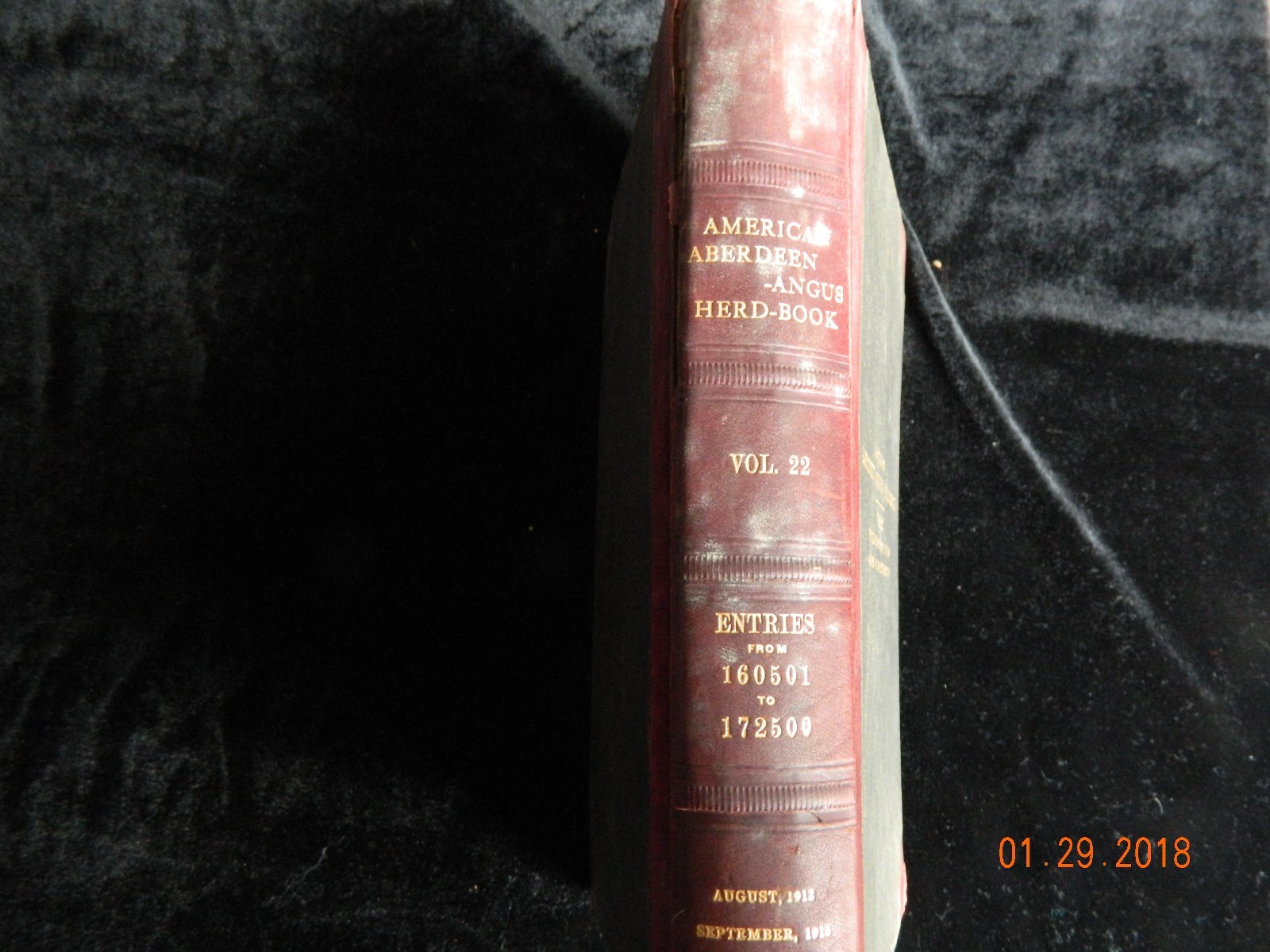 American Aberdeen-Angus Herd Book Vol 22 Original Hardcover RARE VINTAGE 1912