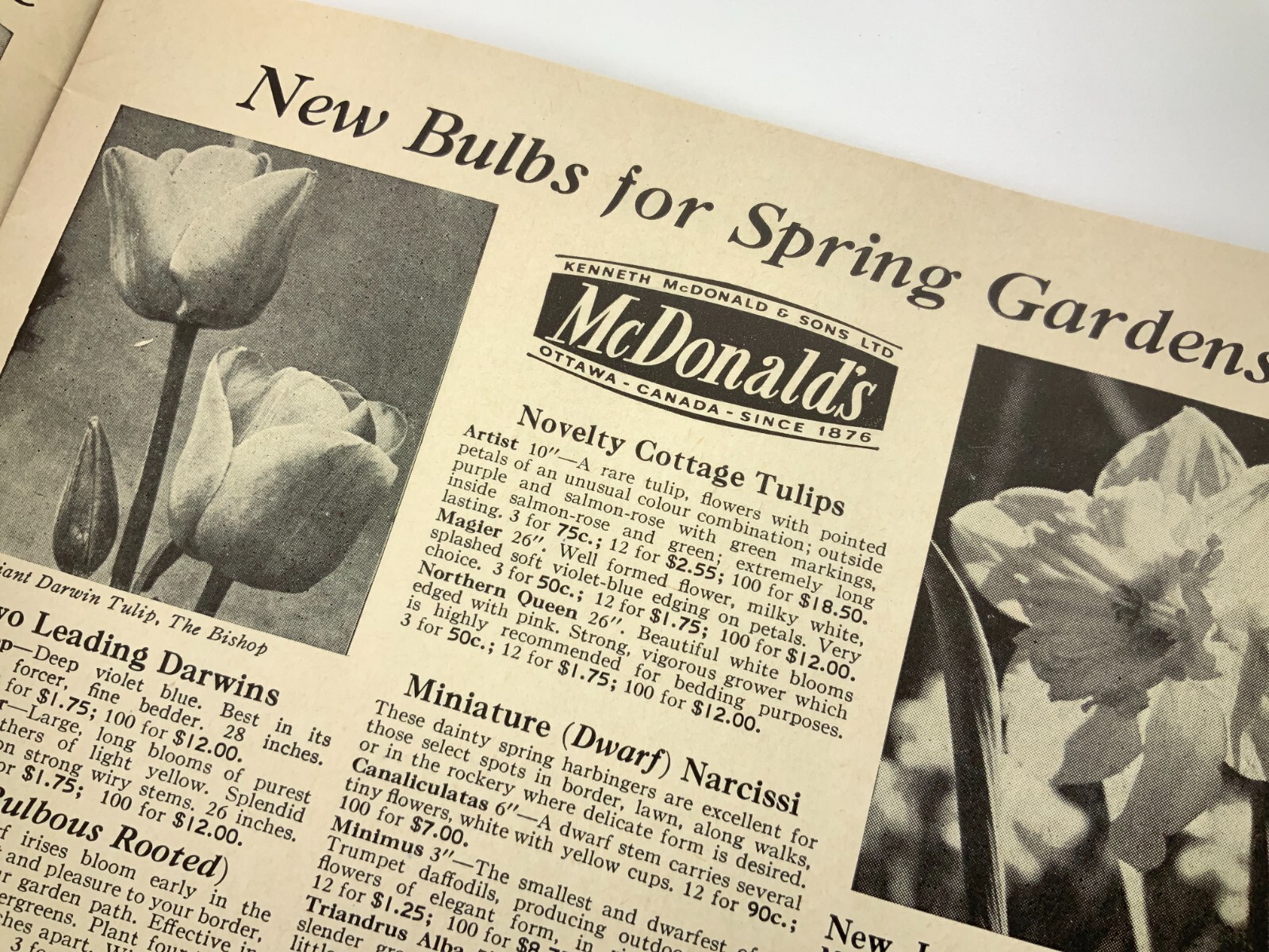 McDonald&rsquo;s Seeds Plants Bulbs Catalogue Fall 1961 Catalog Ottawa Canada EE630