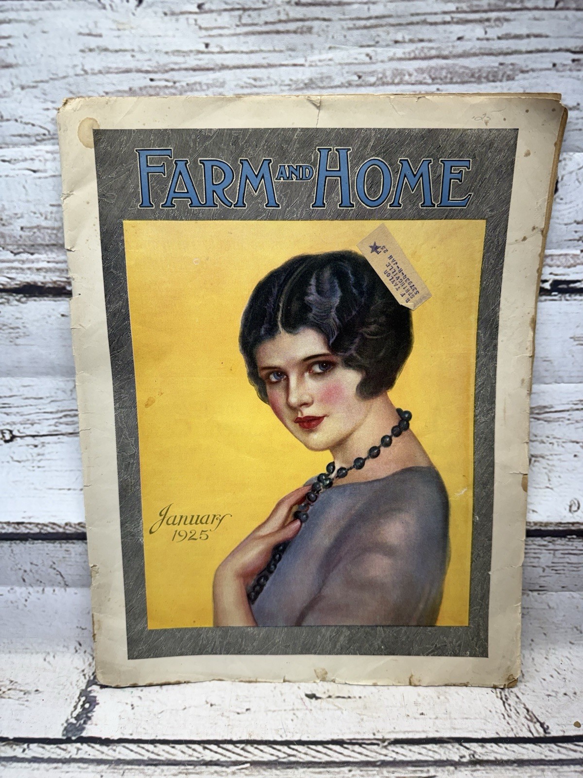 VTG Farm And Home Magazine 1919/1925 Farming Agriculture Stories DIY Original