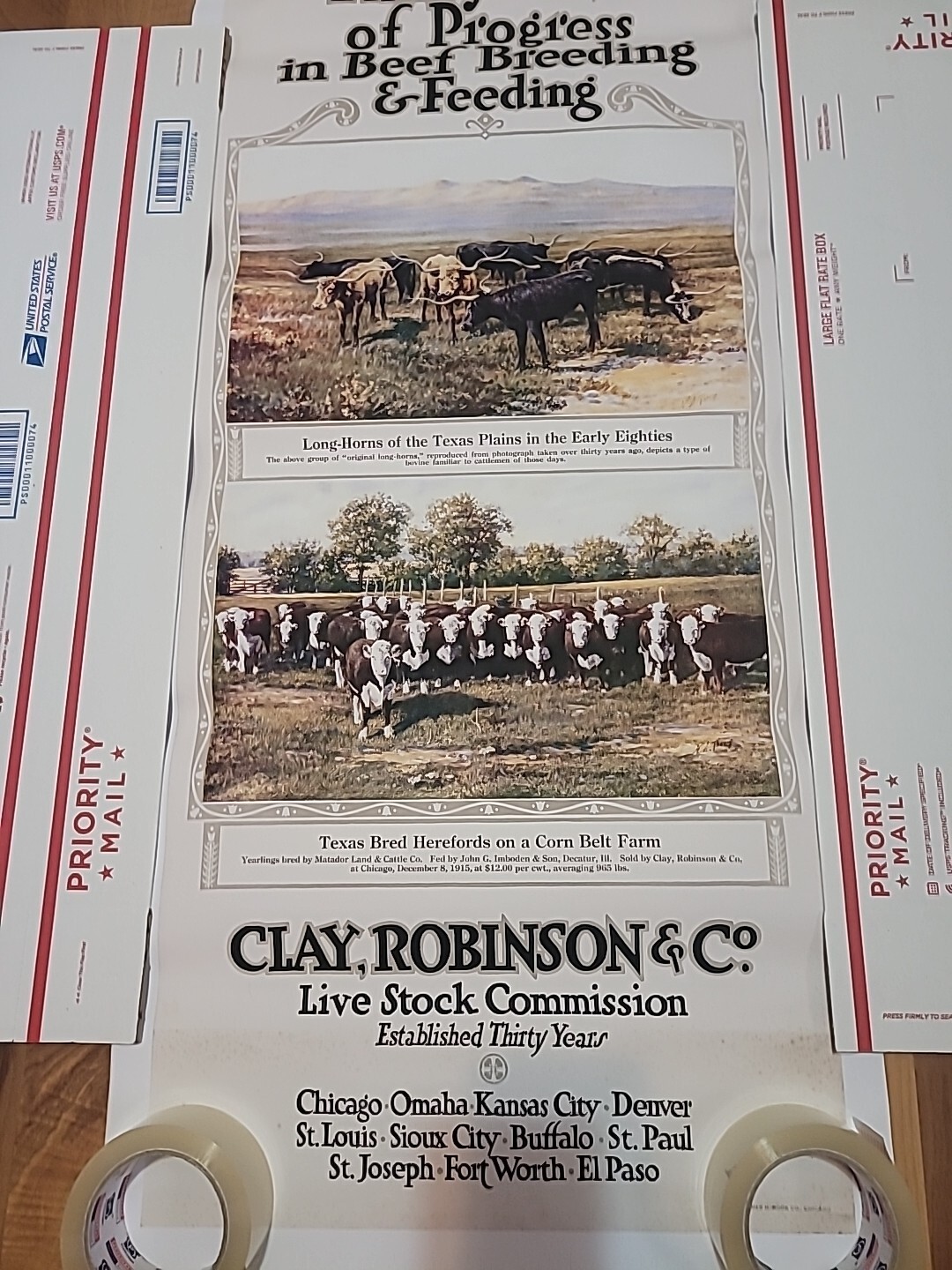 Clay,Robinson & Co Livestock Comm Ad 30yrs Beef And Breeding 18×40 Unframe Copy