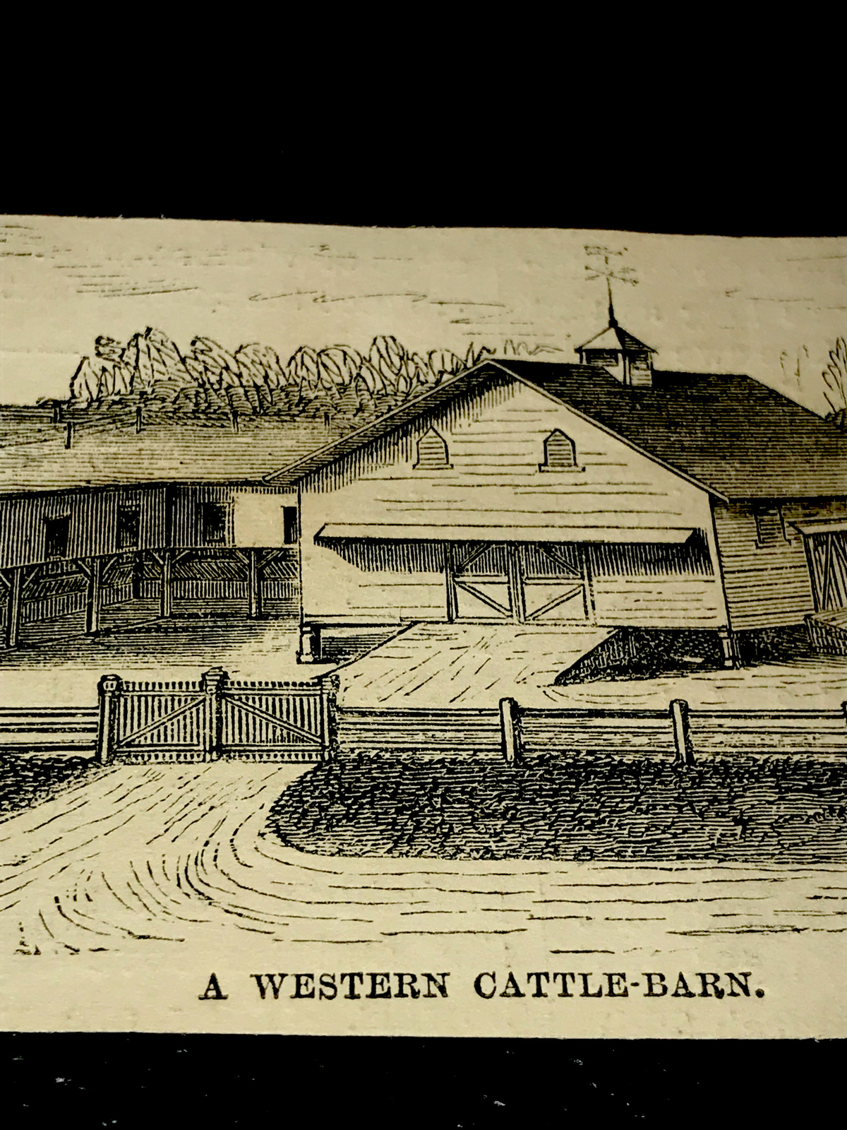 ORIGINAL 1872 Western Cattle Barn Farm Engraving Advertising