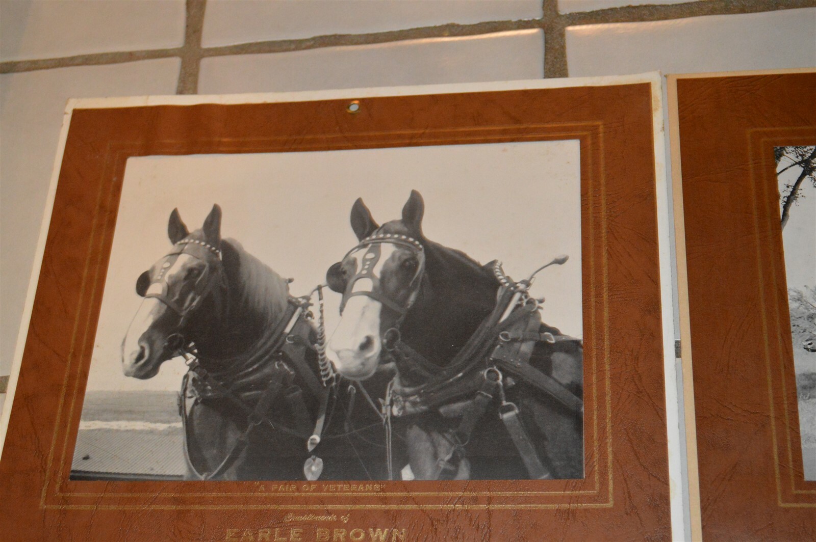 5 1946-1957 Earle Brown Calendars Camden Farms Mpls Morgan Horses
