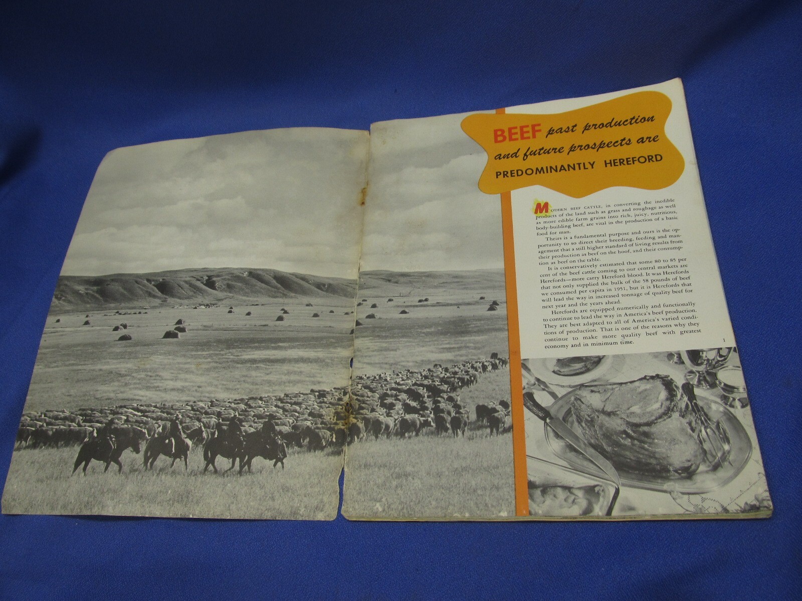Your Future With Herefords Vintage Cattle Book Beef Cows American Association