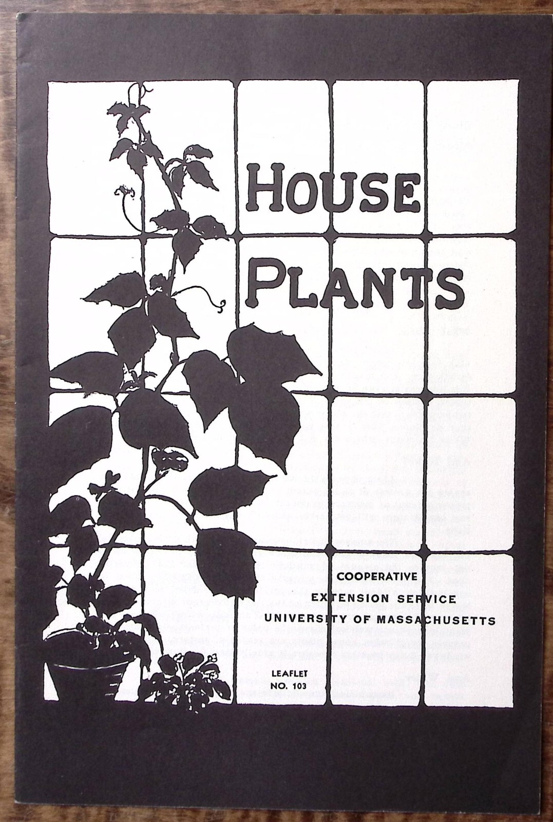 c1955 UNIVERSITY OF MASSACHUSSETS HOUSE PLANTS BROCHURE EXCELLENT Z5450