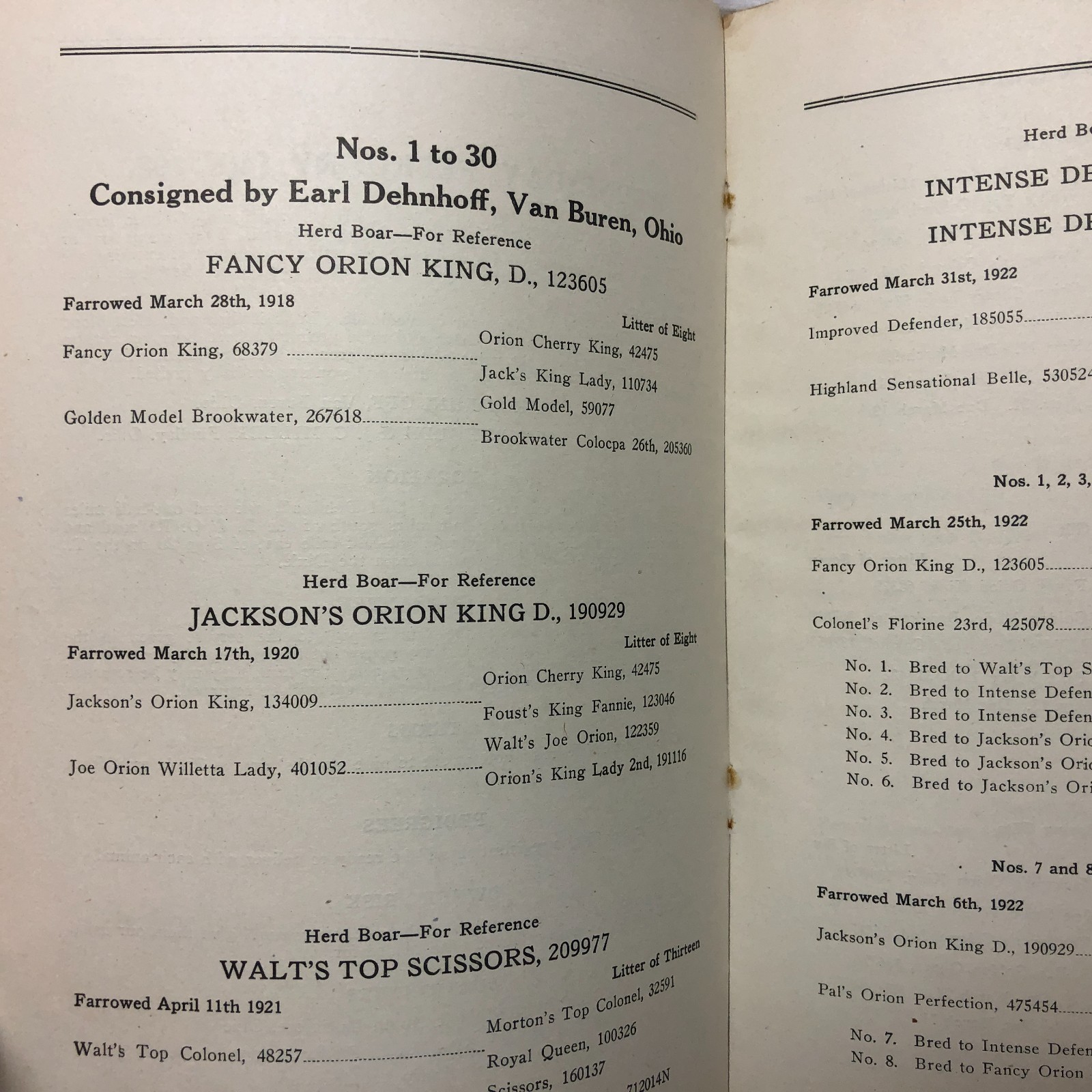 Vintage 1923 45-Duroc-45 Bred Sows Sale Booklet