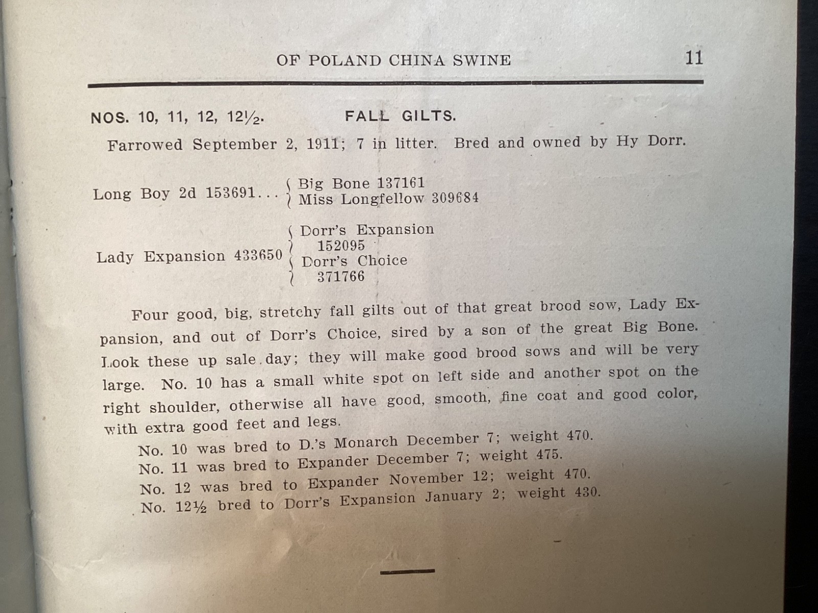 1913 Poland China Sows Sale Catalogue, Henry Dorr, Marcus IA