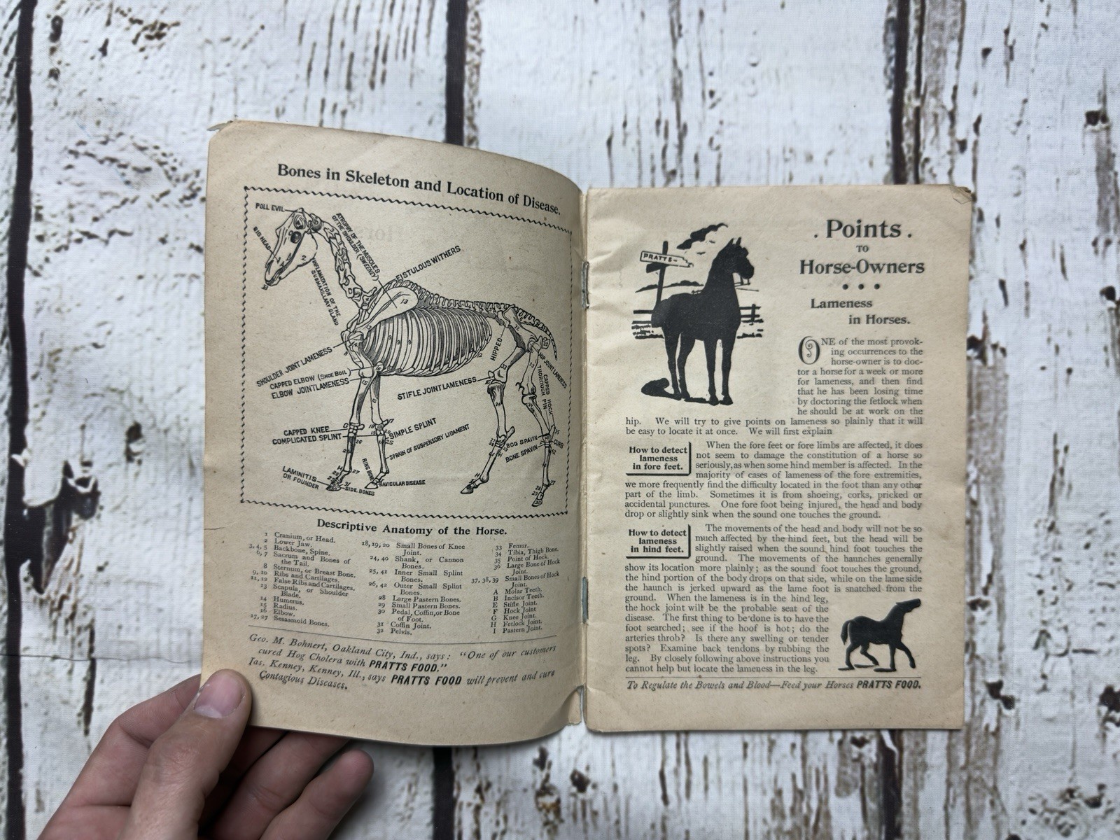 VTG Pratts Hand Book For Farmers Horse Owners Dairymen & Poultry Keepers Book