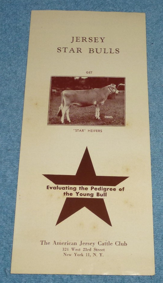 Vintage American Jersey Cattle Club Brochure Jersey Star Bull Award Program