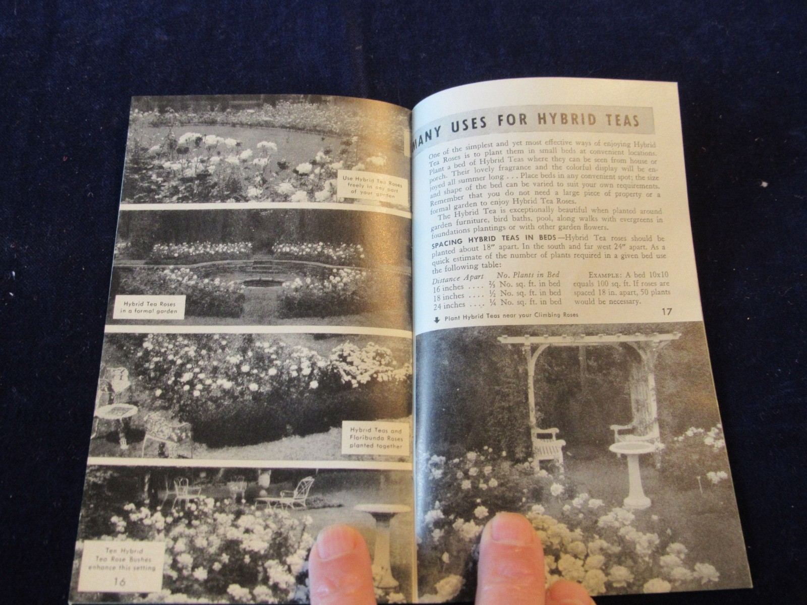Vintage 1940-1950&rsquo;s Jackson & Perkins Rose Gardening Brochure B439
