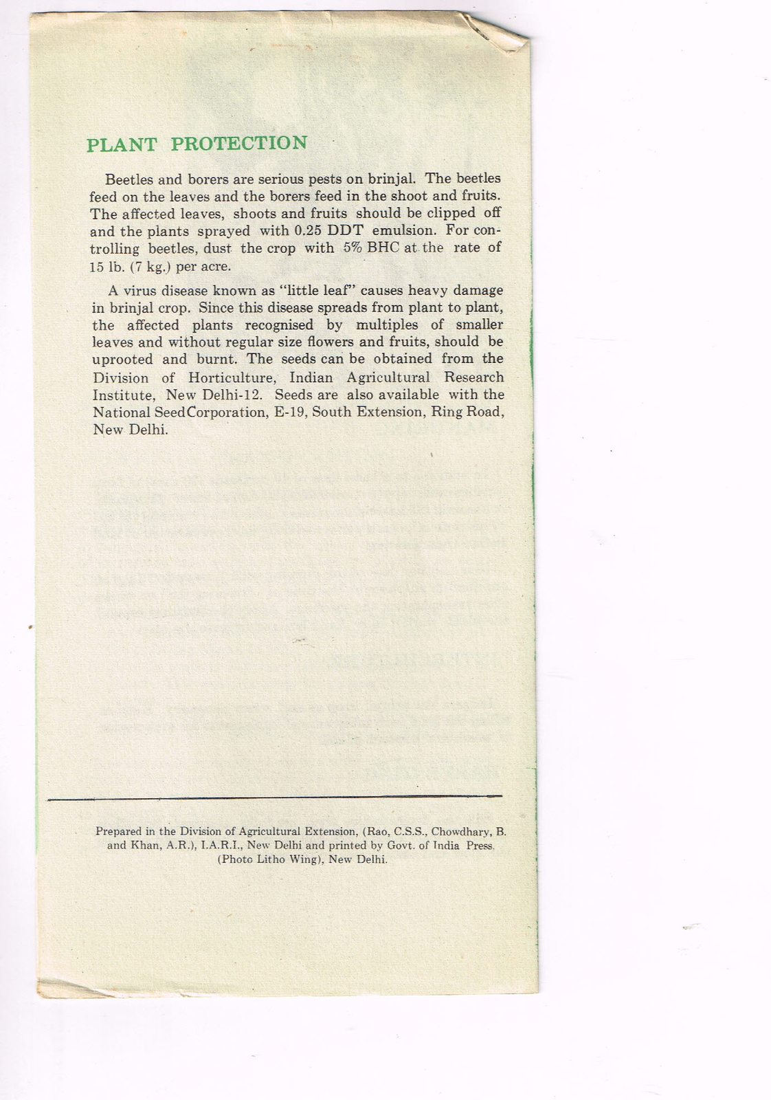 Vintage 1960s Farm Brochure India New Delhi Brinjal Purple Long