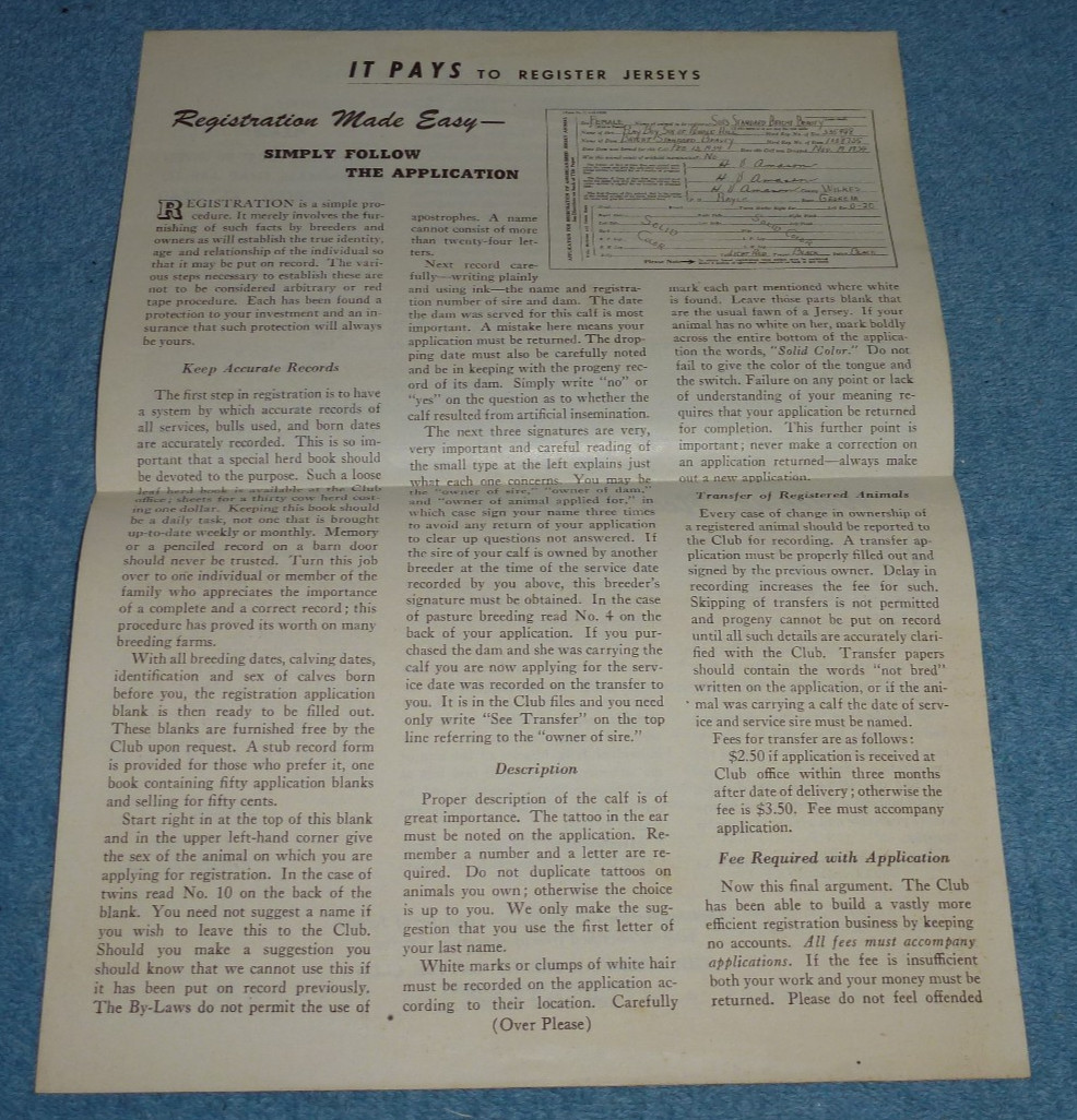 Vintage American Jersey Cattle Club Brochure Cattle Registration Tattooing Info