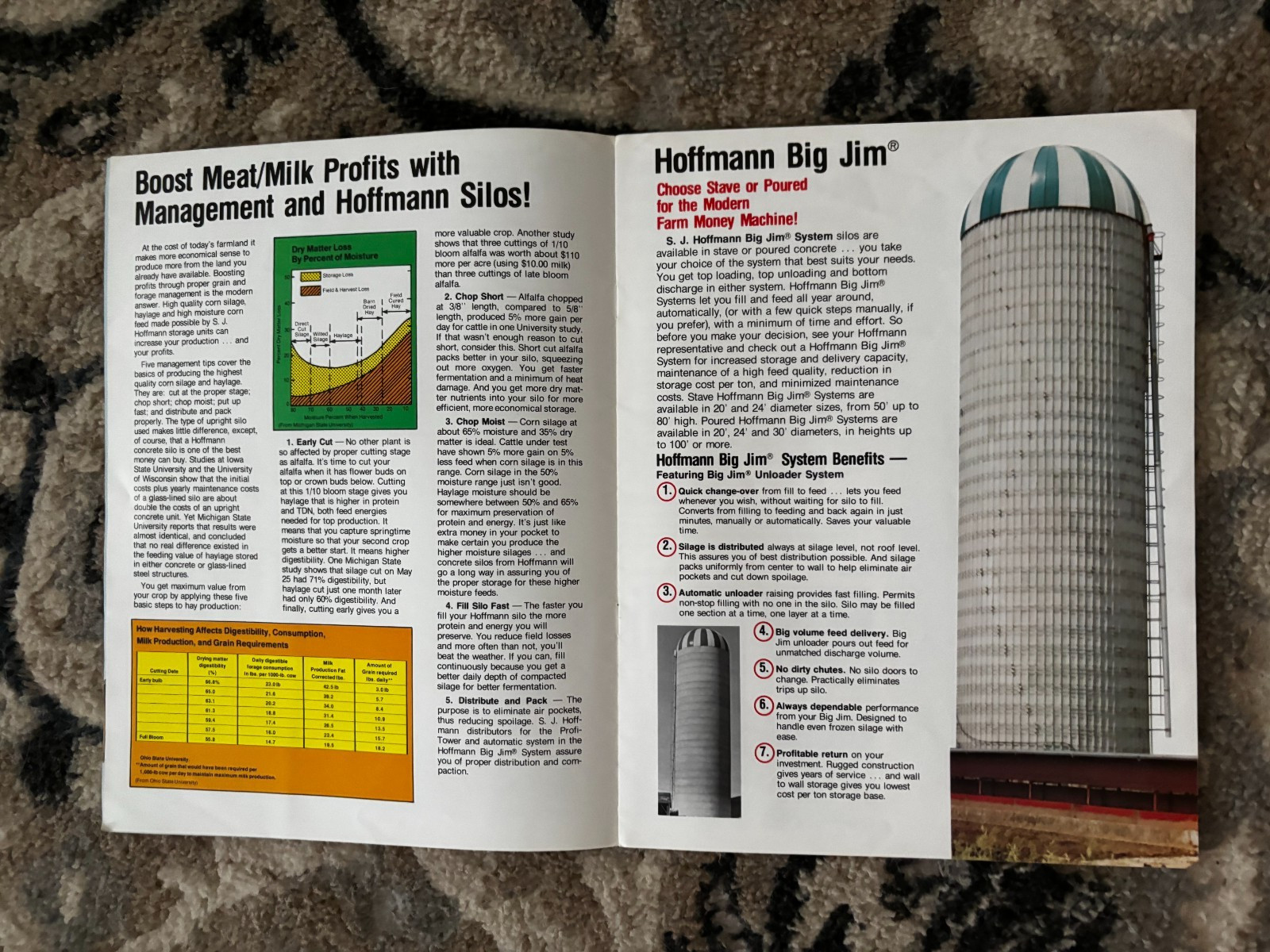 S.J. Hoffmann & Sons Inc Silos with Big Jim Unloader Brochure DCPA26