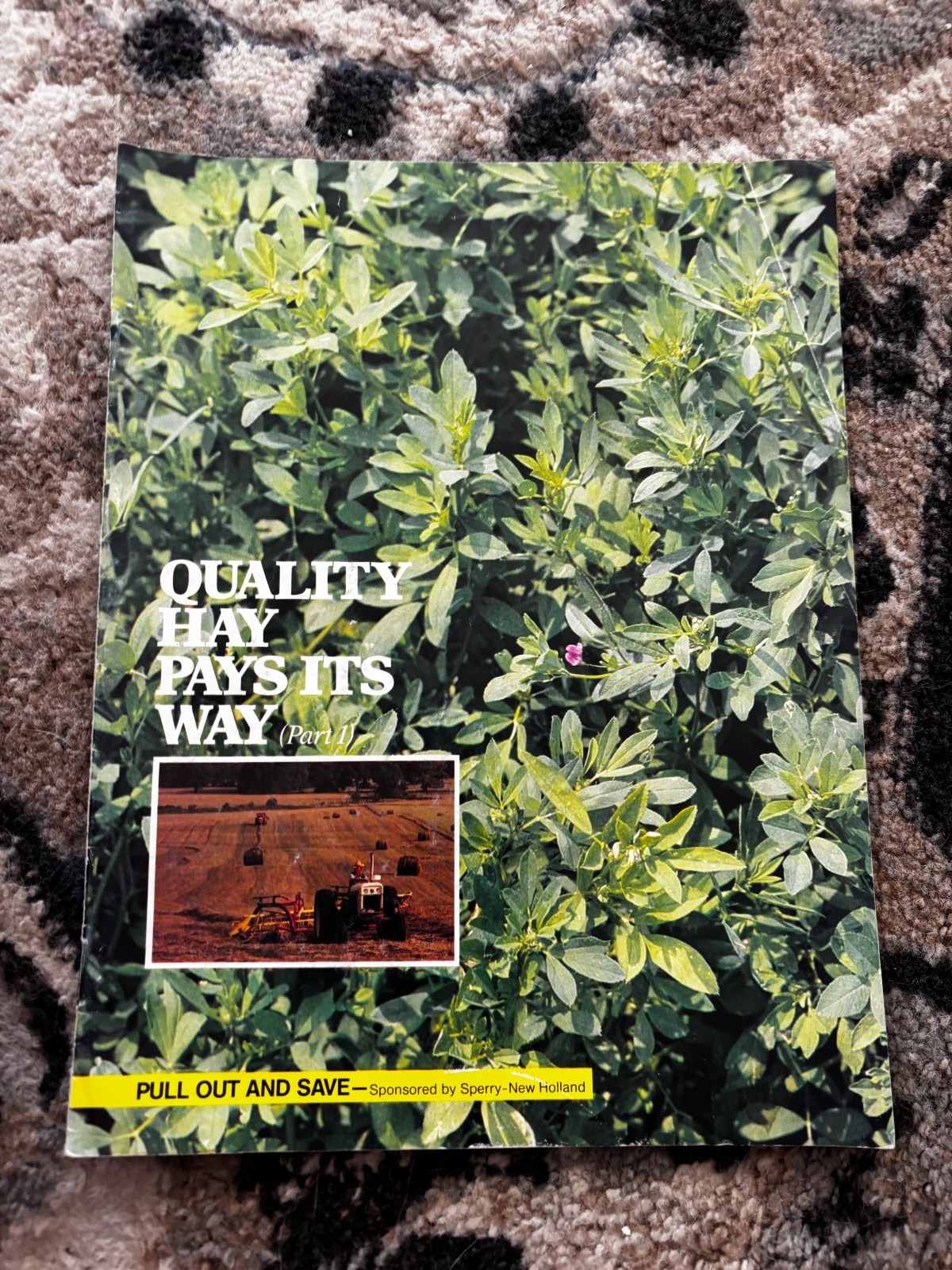 New Holland Quality Hay Pays Its Way Brochure DCPA26