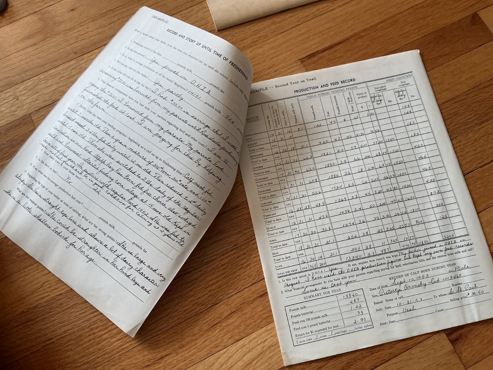 1950 4H Dairy Cow Project Record Book – Minnesota