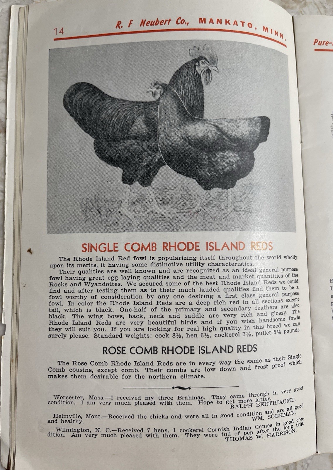 Vintage 1945 Neubert&rsquo;s Neubert Poultry + Supply Catalog Mankato MN