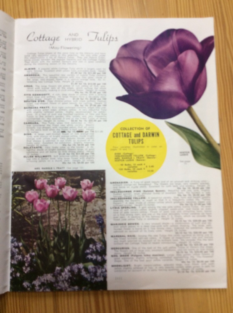 Strump And Walter Co American Grown Bulbs 1943 INV-P0058