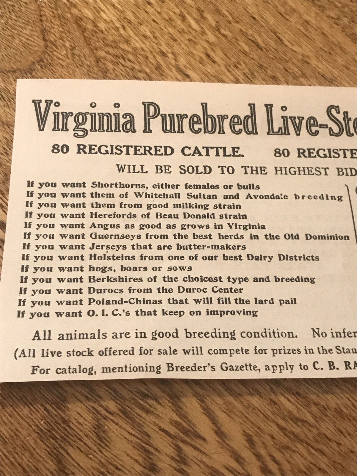 1918 Cattle & Hogs Public Sale – Staunton – Virginia – Pig Cow Farm Advertising