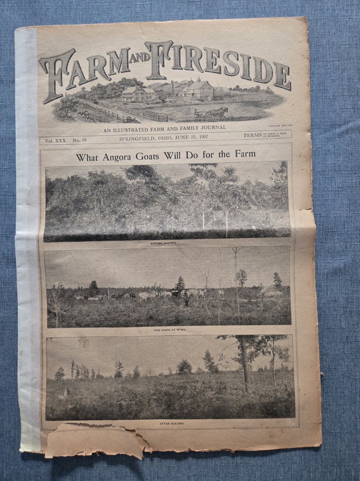 Farm & Fireside Newspaper – Antique Agriculture 1907 Articles Ads Illustrations