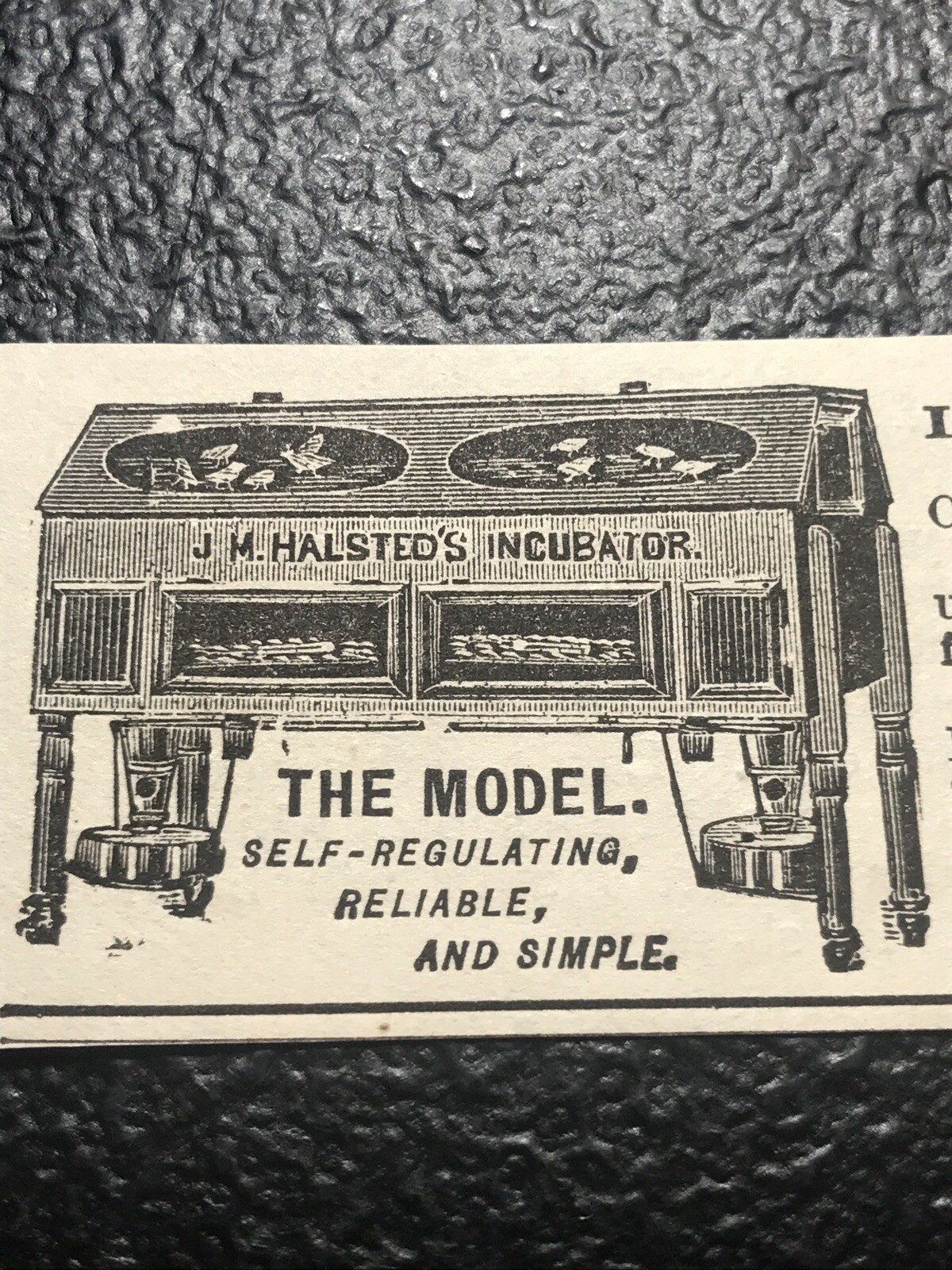 1886 Halsted Incubator Co. – Chicken Farm Advertising – Oakland – California