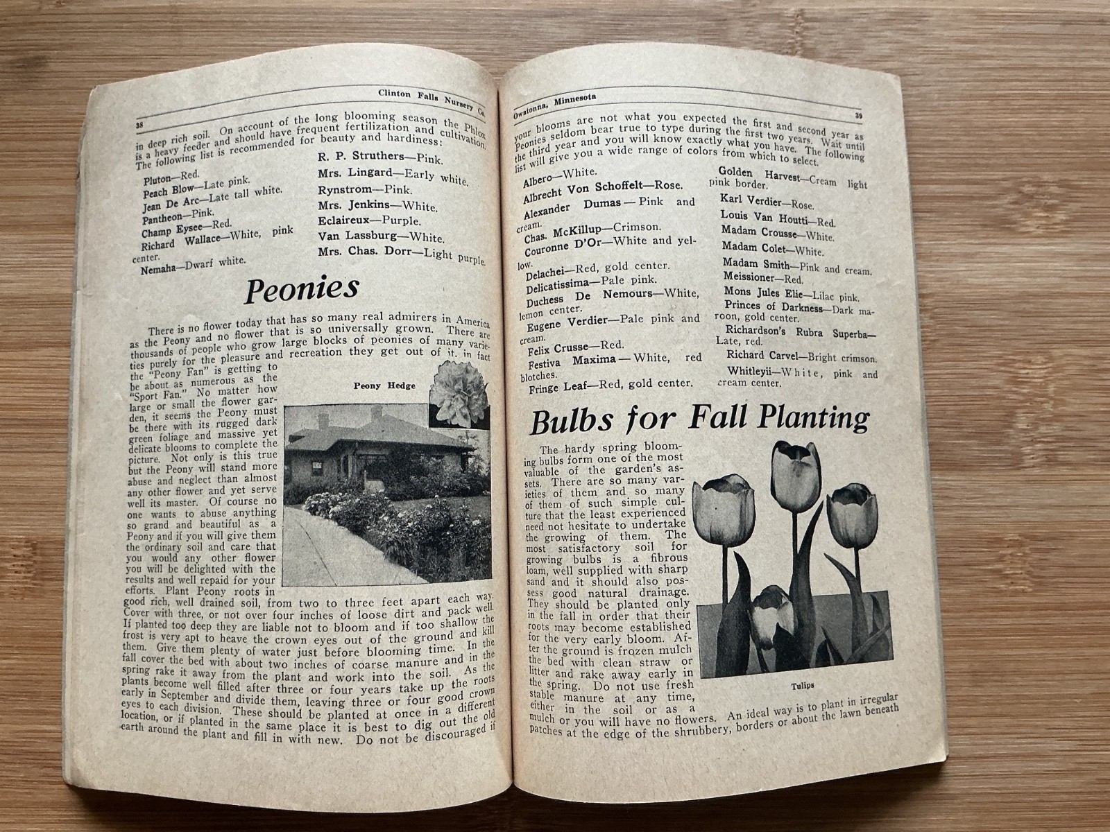 c1910 Owatonna Minnesota, Clinton Falls Nursery Co. Planters Manual