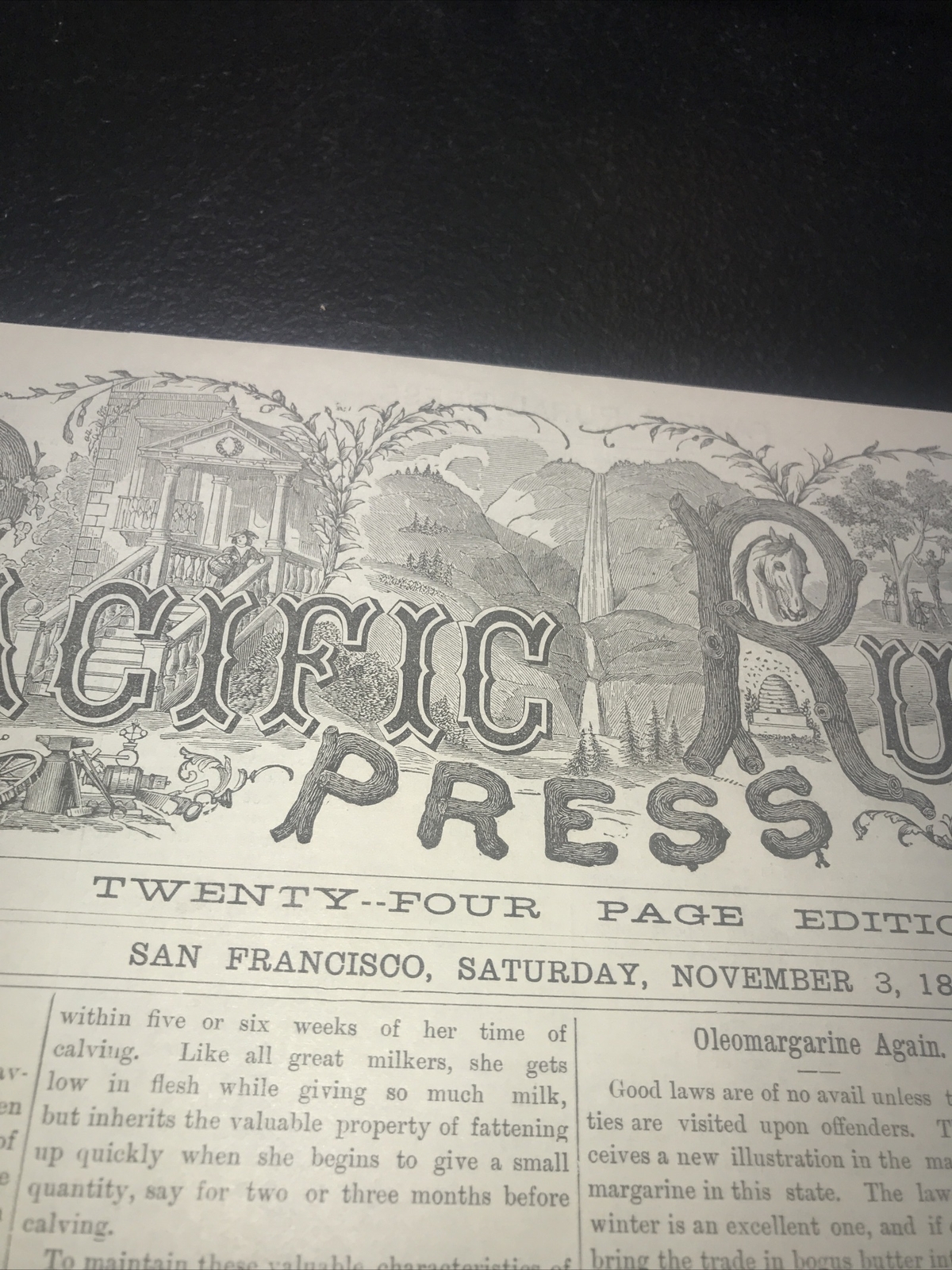 1883 Baden Farm Short Cow Advertising & Article – San Mateo County California