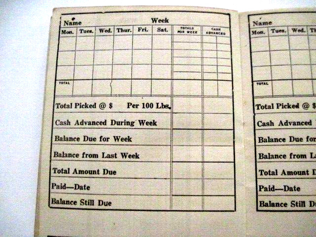 1917 Booklet « Cotton Calculator » Compliments of « First Guaranty State Bank » TX*