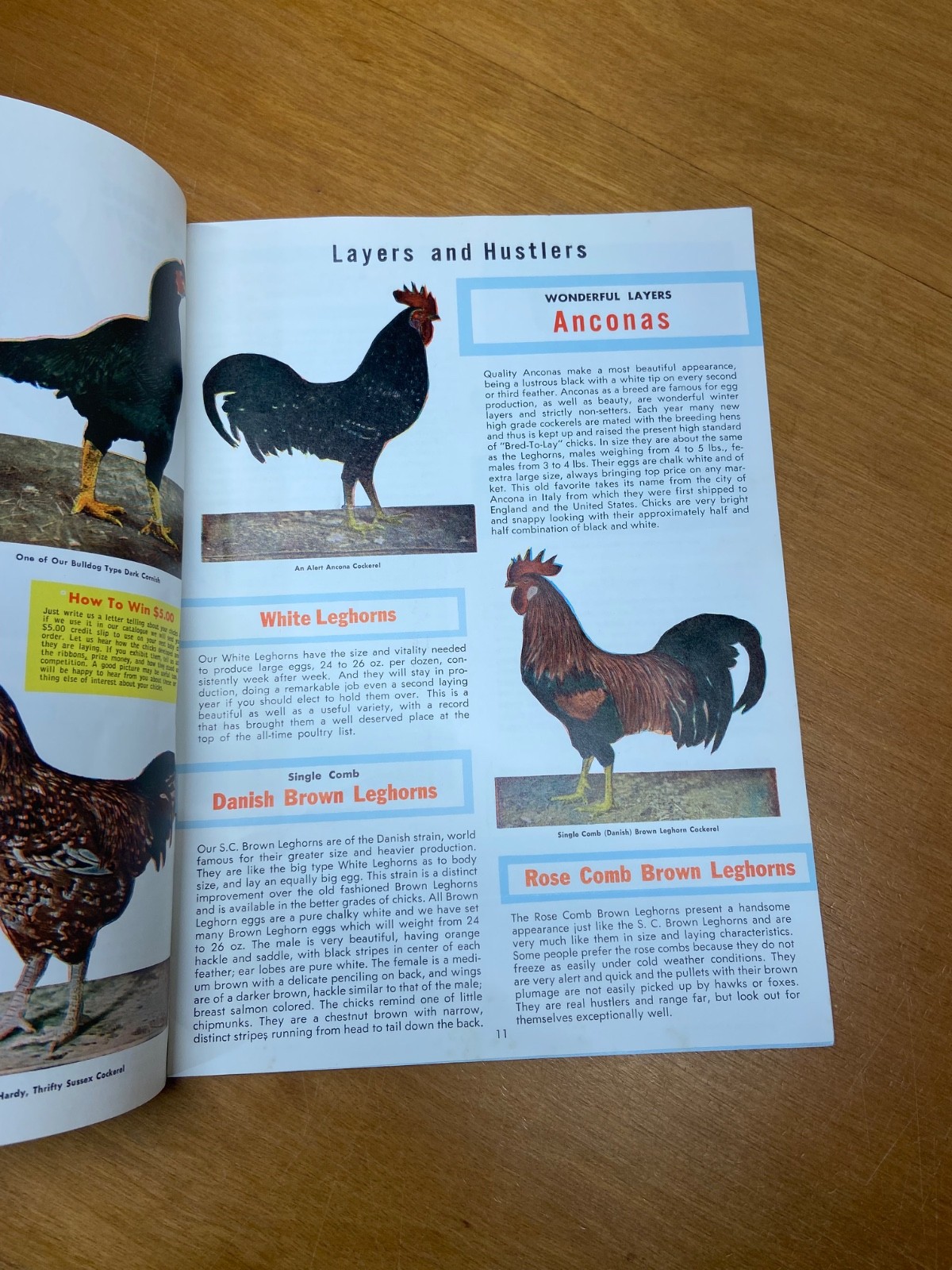 Murray McMurray Hatchery Catalog 1970&rsquo;s