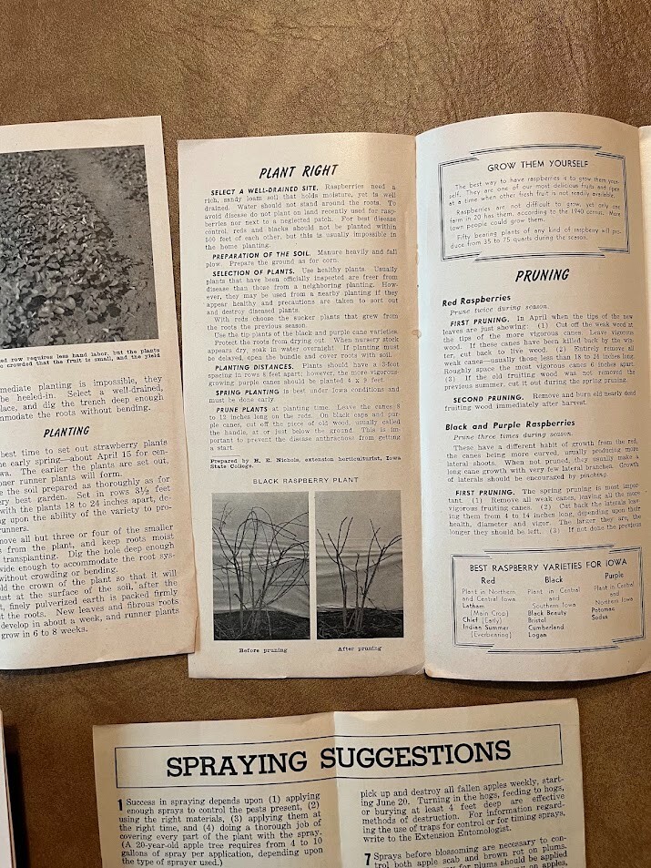 Vintage 1944 Iowa State College Agricultural Ext. Service Pamphlet Lot of 4
