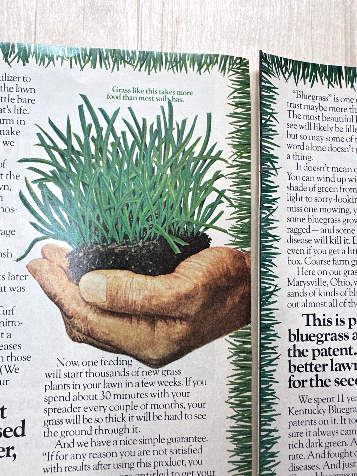 1976 Scott’s Turf Builder Lawn Fertilizer Vintage Print Ad Grass Yard