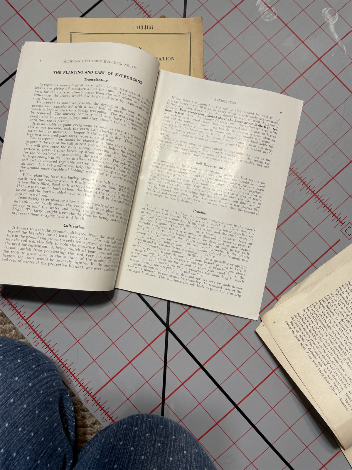 Vintage 1929, 1937, 1942 MSU Michigan State College Extension Forestry Mgt Publi