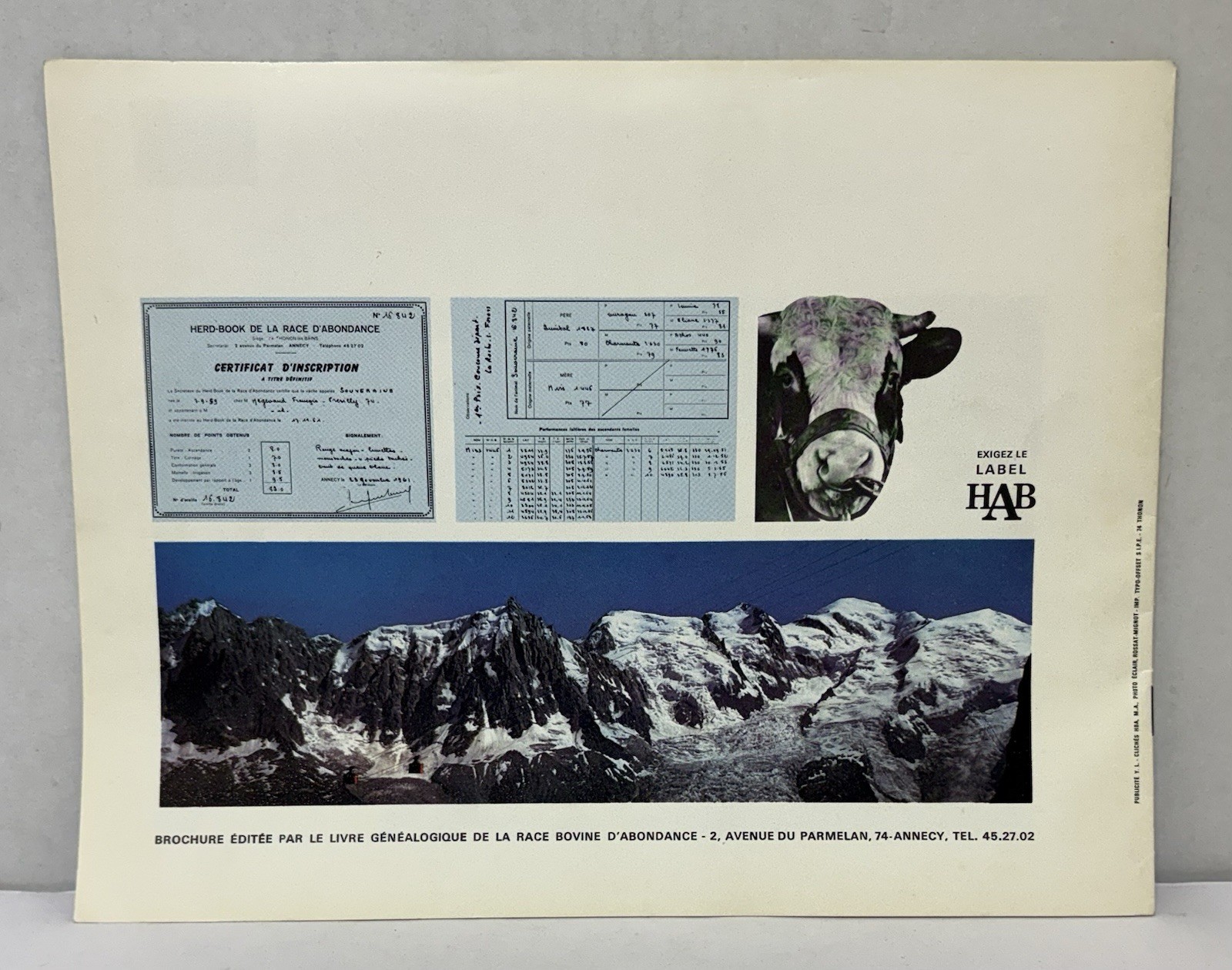 Vintage 1960s Abondance Cattle Booklet Brochure – French Dairy Breed