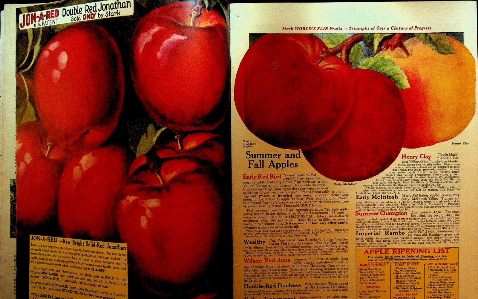 Stark 1937 Book of Fruits Catalog Stark Bros Nursery Louisiana Missouri