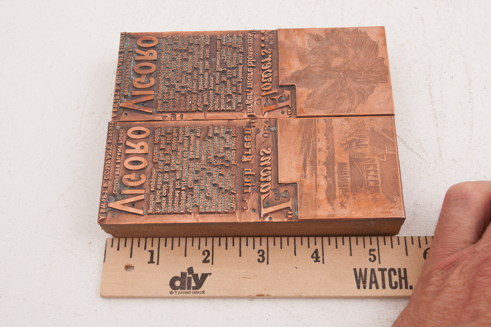 Vigoro Lawns & Flowers Gardening Ads Printers Block Advertising (A5L-26 JSF6)