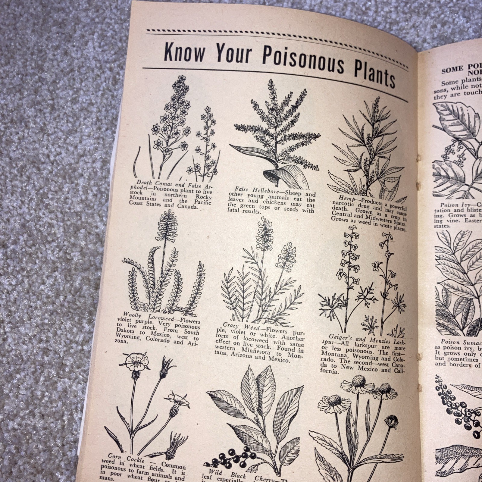 B F Goodrich 1950 Farmers Handbook Almanac BF Goodrich / Pace Serv Malvern Iowa