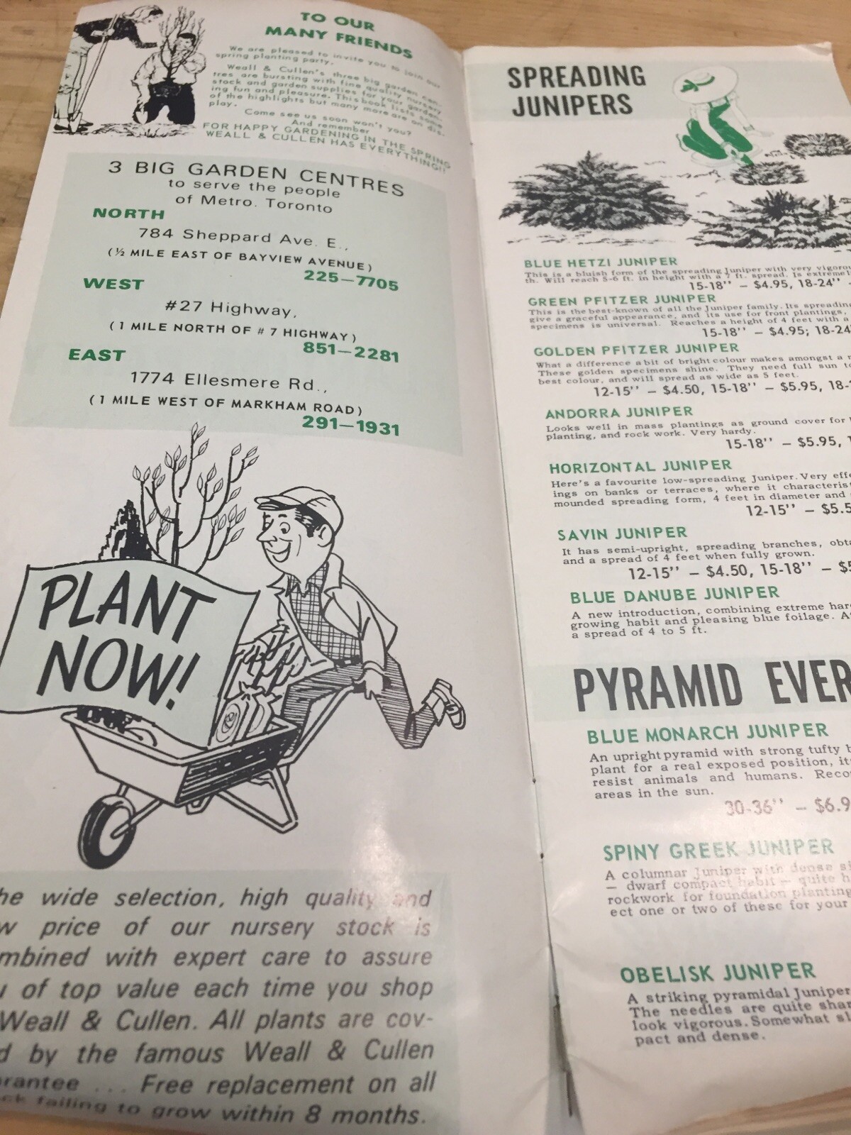 Weall And Cullen Nurseries, Vintage Spring Plant Gardening Brochure Catalogue M1