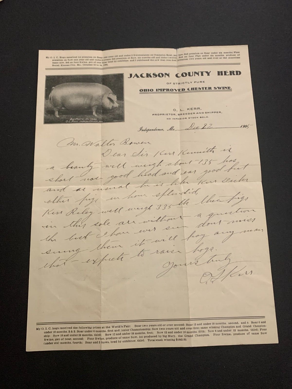 1905 Jackson County Herd O.I.C. Swine Letterhead Independence Missouri