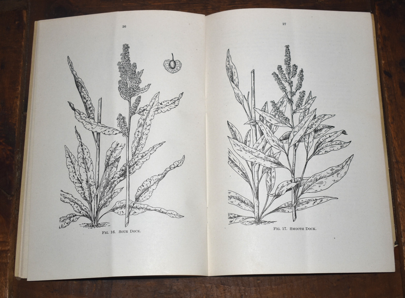 Vintage 1943 Iowa Dept of Agriculture Laws Relating to Noxious Weeds Book