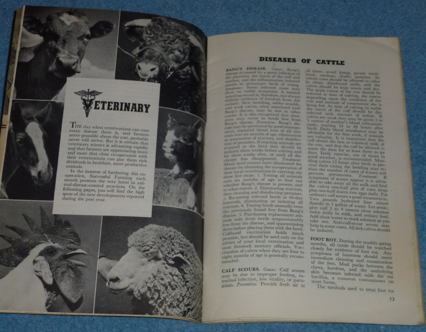 Vintage 1941 Successful Farming Magazine Sampler Promo 52 Pages