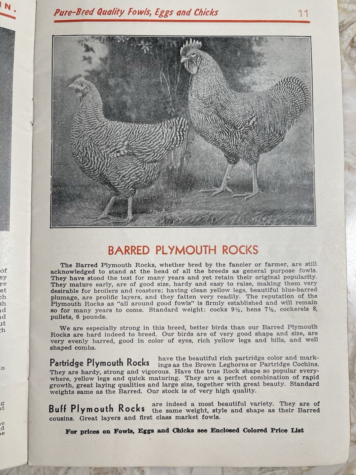 Vintage 1945 Neubert&rsquo;s Neubert Poultry + Supply Catalog Mankato MN
