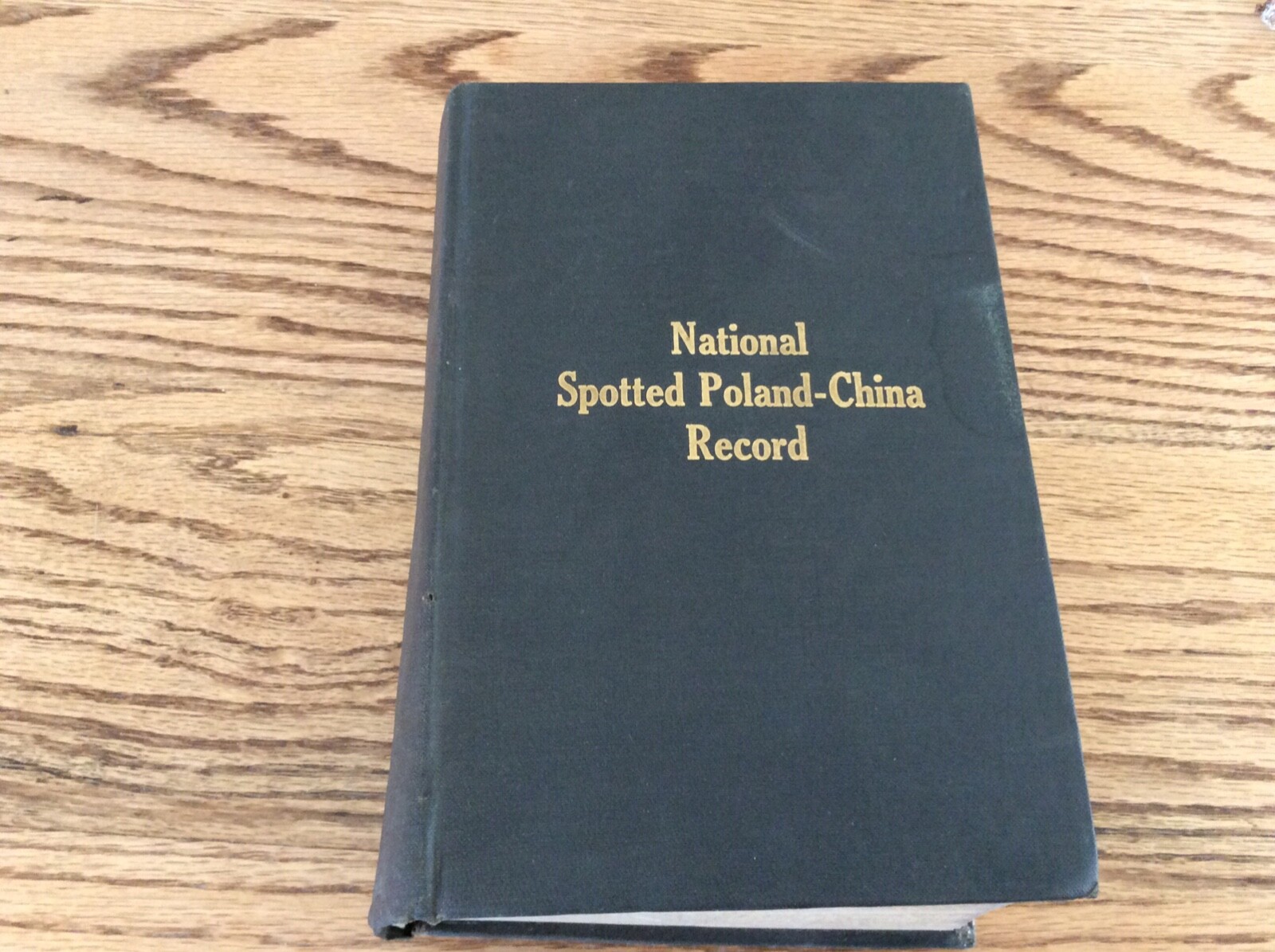 1920 National Spotted Poland-China Record Book #7 Pig Black Swine FAMILY INSIDE?