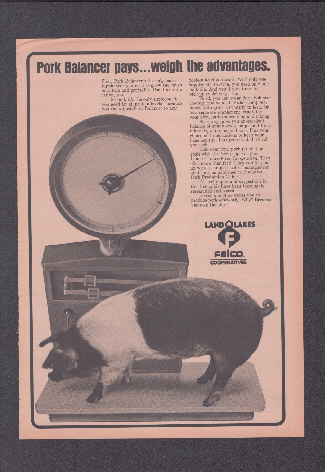 1974 Print Ad Land O Lakes Felco Cooperatives Pork Balancer Pays Weigh Advantage