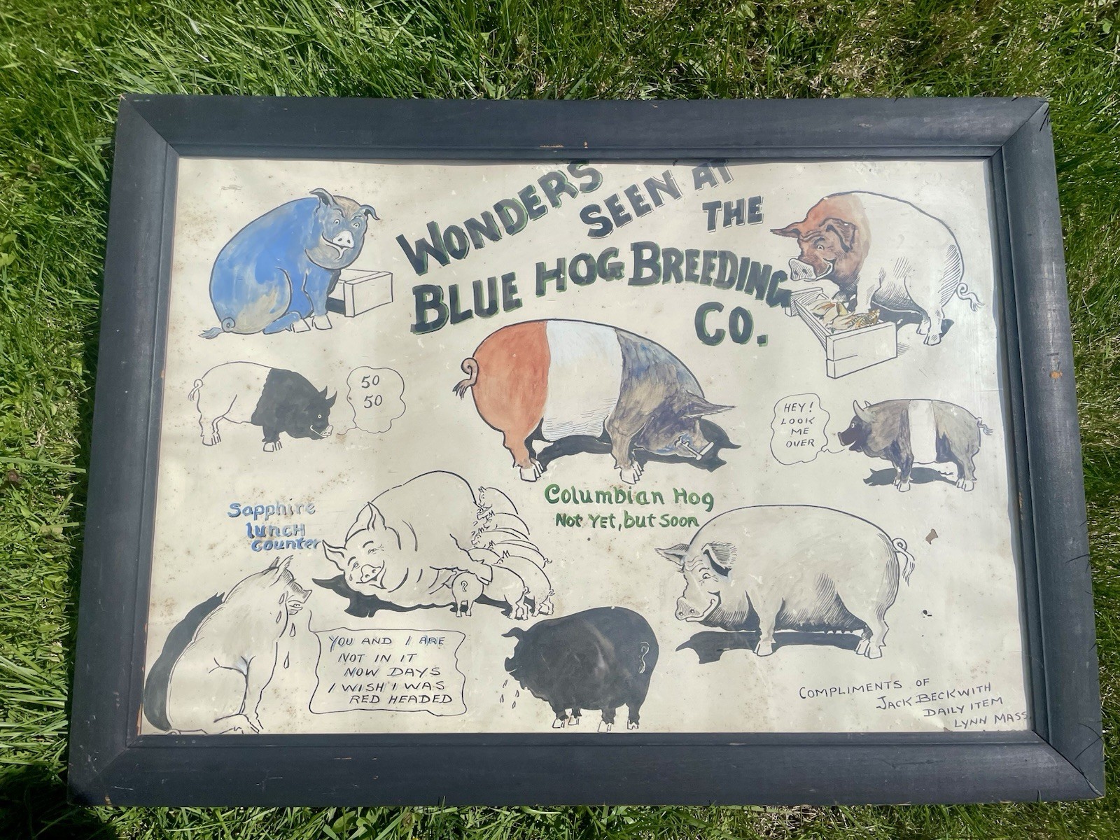 Blue Hog Vintage Advertising Poster – Antique – Rustic Americana
