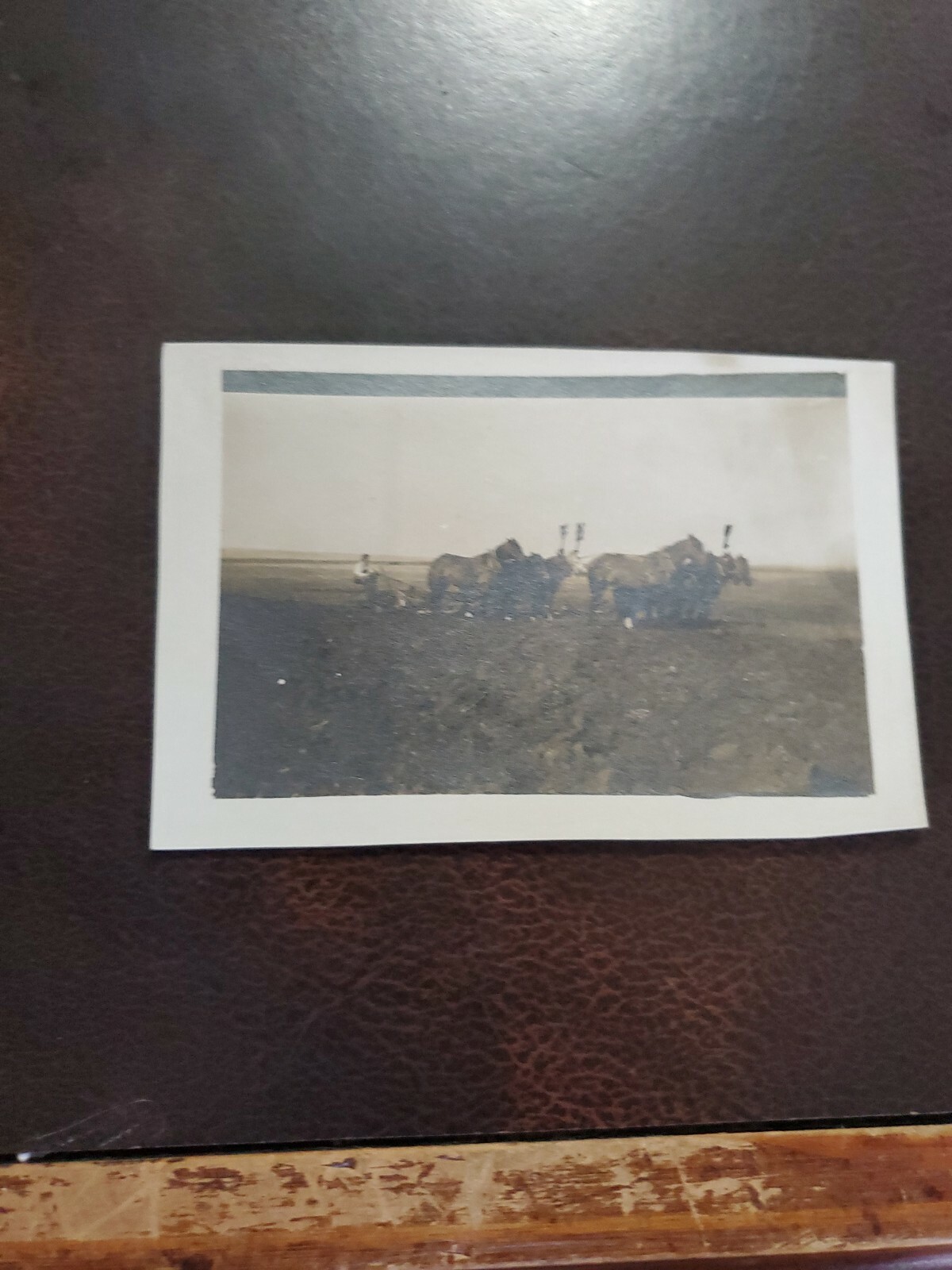 Vntg 1890-1900 Farming RPPC Agricultural Postcard