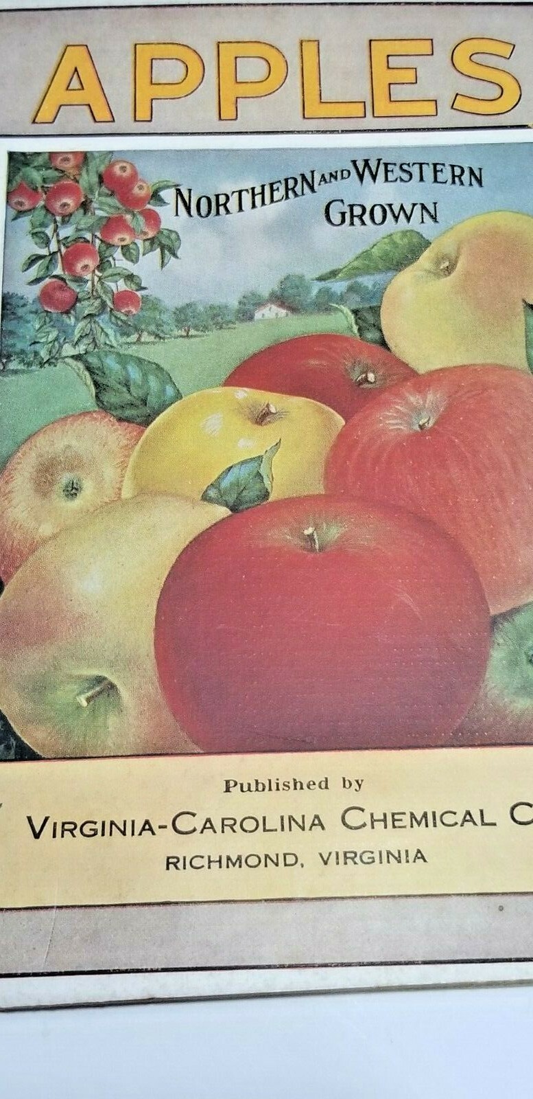 Vintage 1921 Advertising Pamphlet APPLE GROWING Virginia Carolina Fertilizer