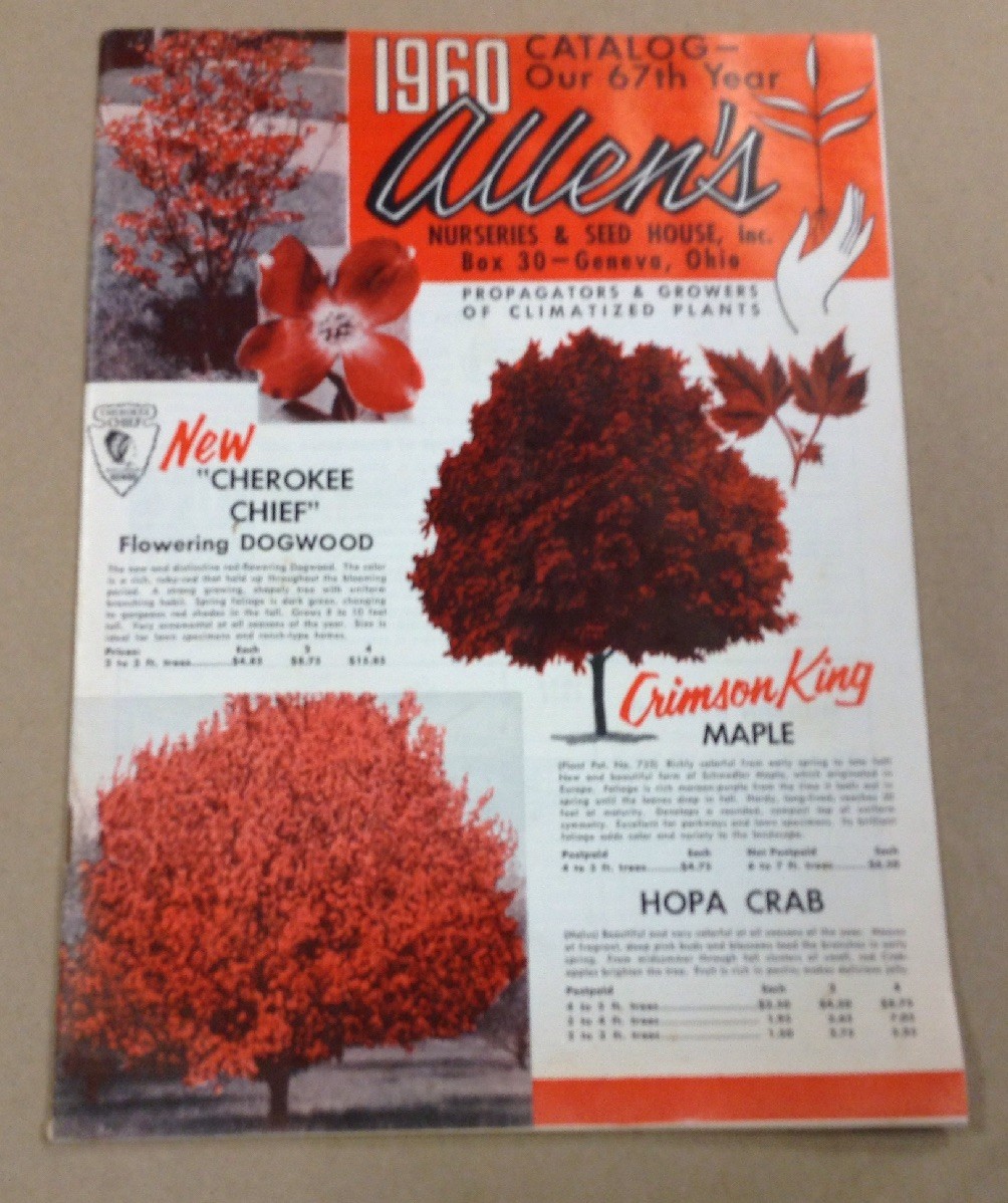 Allene nurseries and seed house co catalog INV-P1120