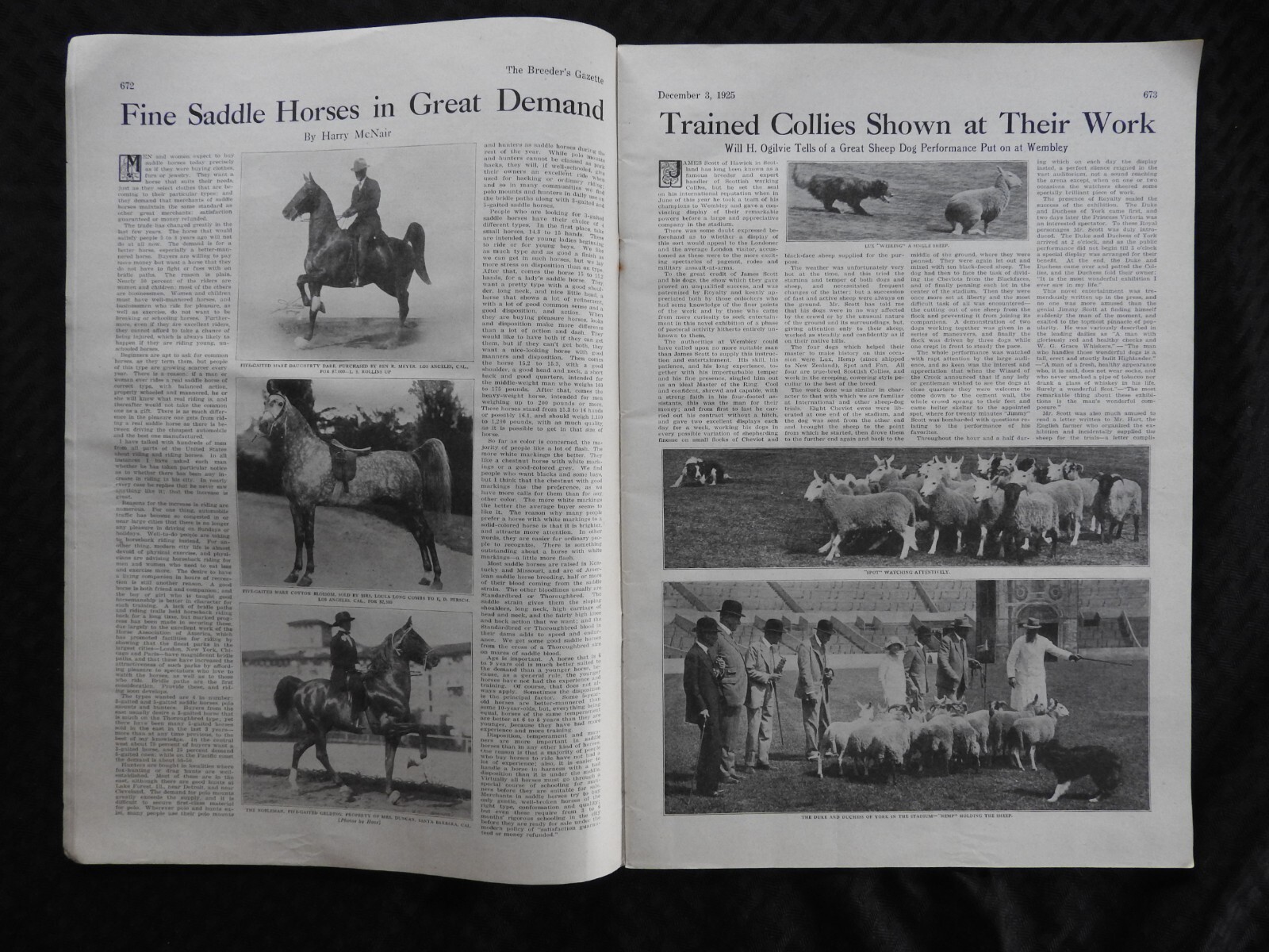 1925 Breeder&rsquo;s Gazette Magazine – cattle rancher farmer horse show VERY GOOD