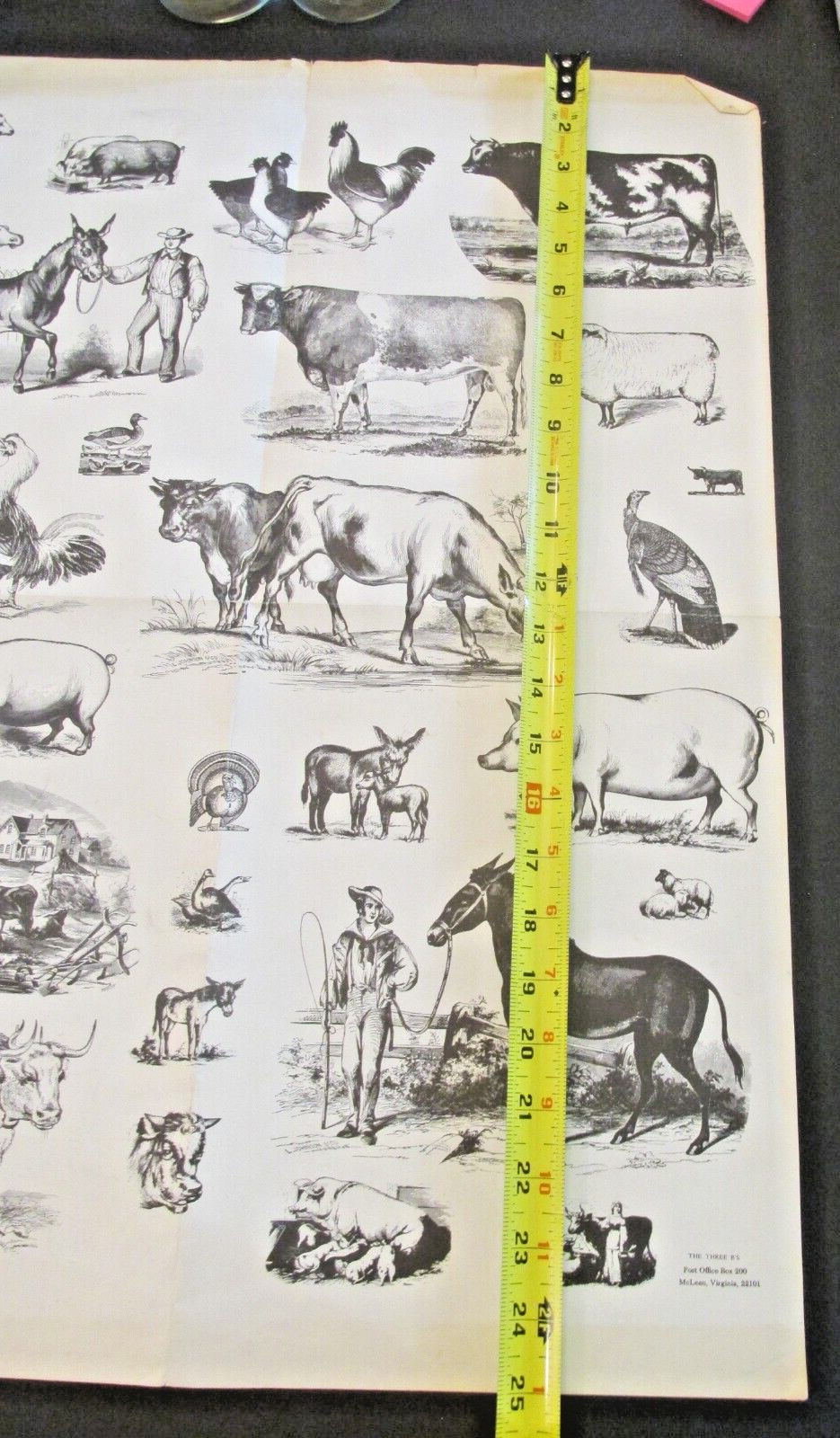 VTG The Three B&rsquo;s Farm Animals Poster Rooster Donkey Horse Pigs Homestead 19×25