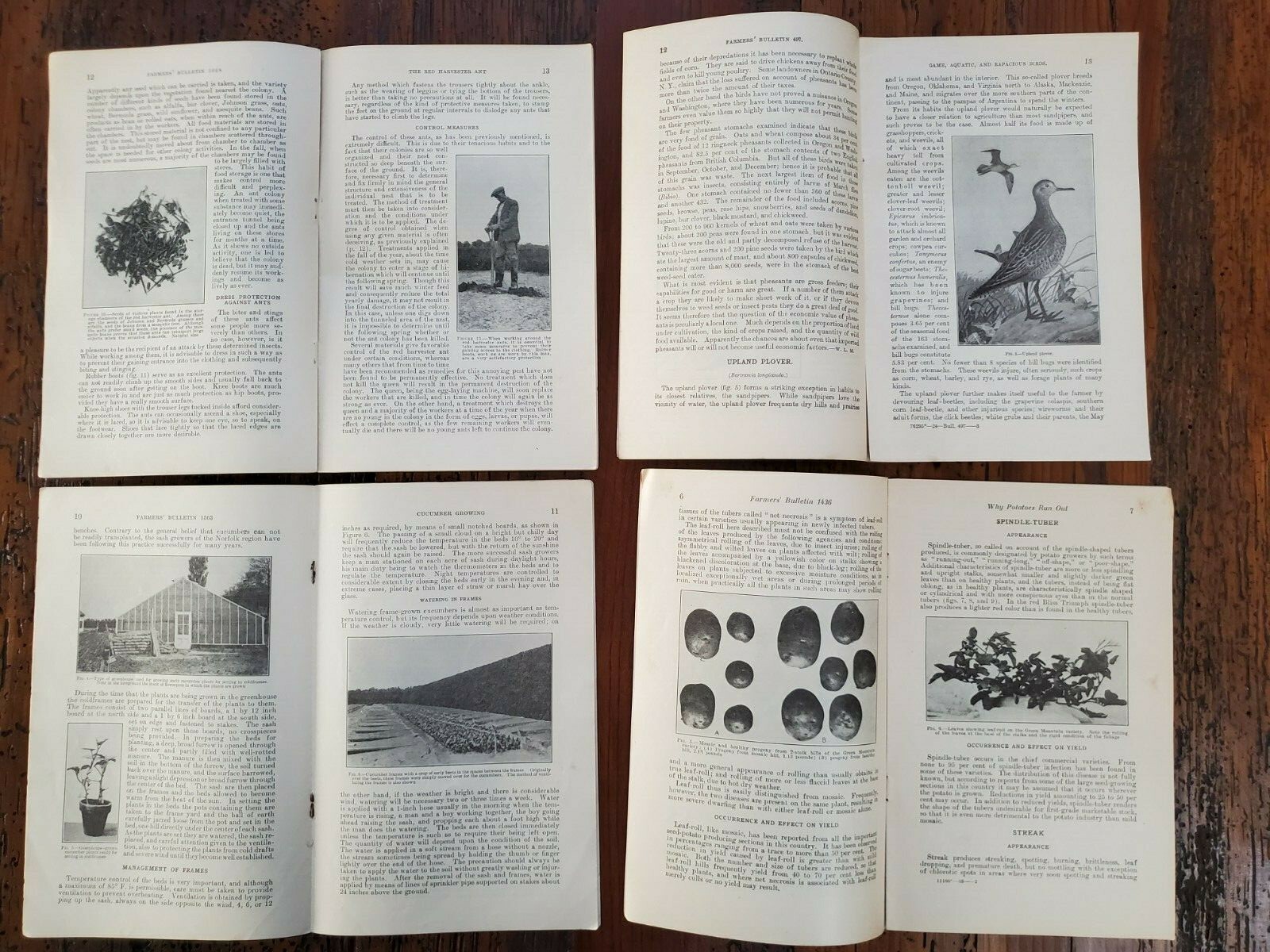 US Vintage Department of Agriculture Farmers Bulletin Lot of 4 Different (DA1)